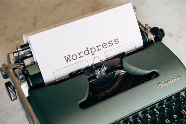 Formation wordpress : lancez votre carrière web en toute simplicité